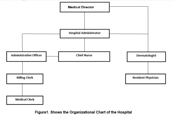 Hospital Management System Capstone Project Document - Capstone Guide